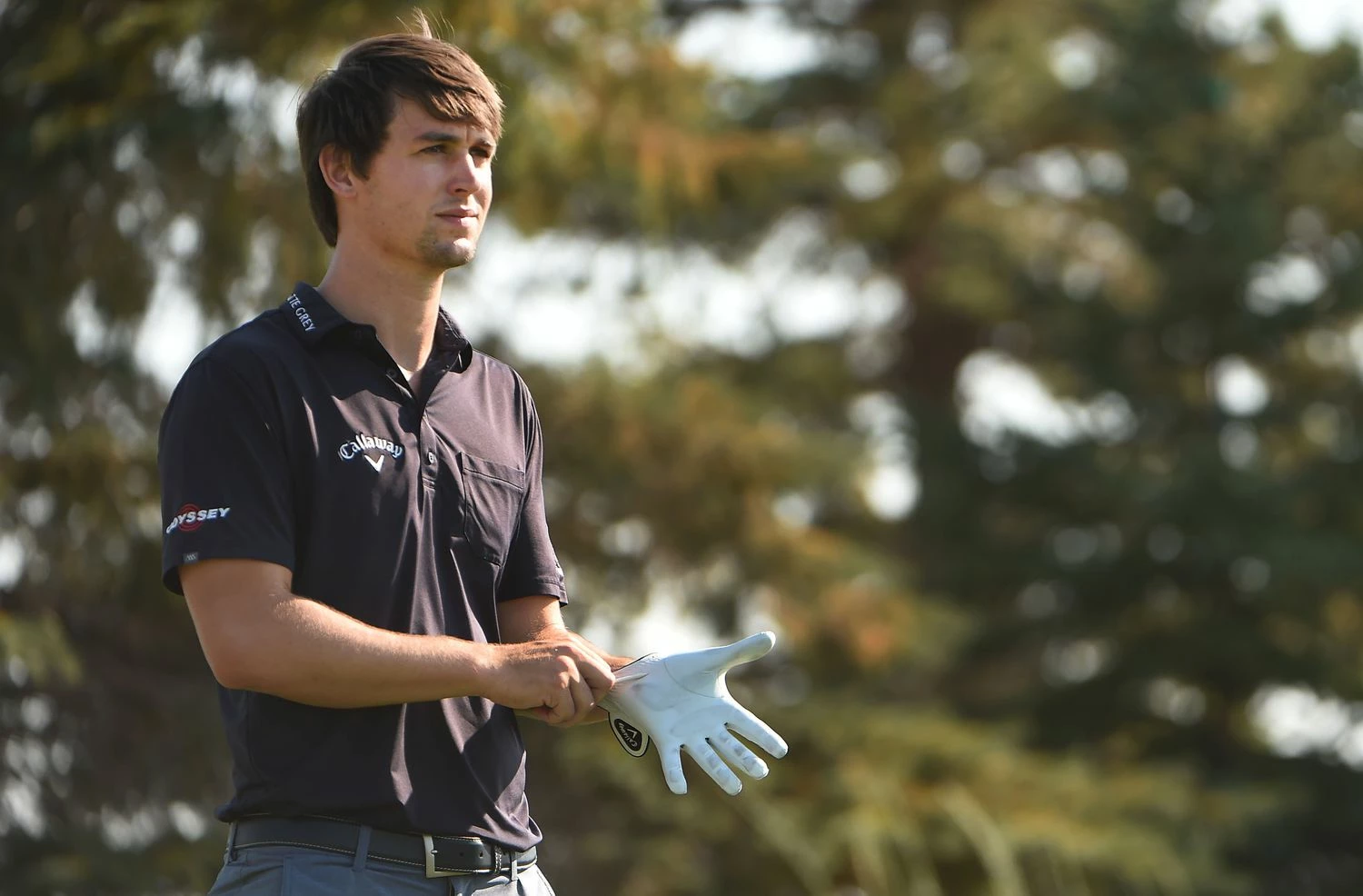 SINGLE IRONS Shop -SINGLE IRONS Shop 50